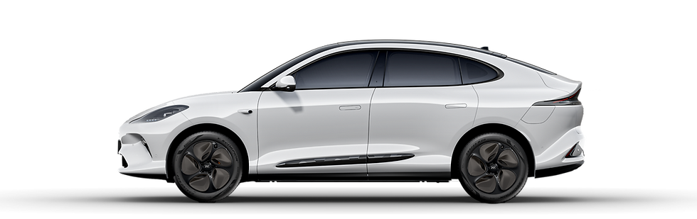 6white (2).png